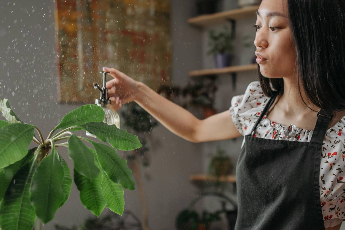 Detangle Mist: Your Hair’s Secret Weapon Against Knots, Breakage, and Morning Chaos